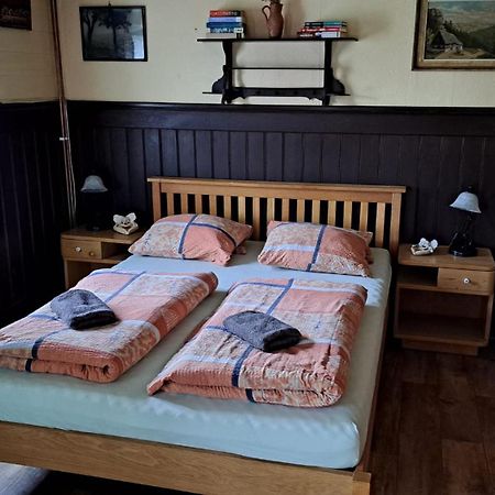 Penzion Pod Zeleznym Vrchem Chřibská Bagian luar foto