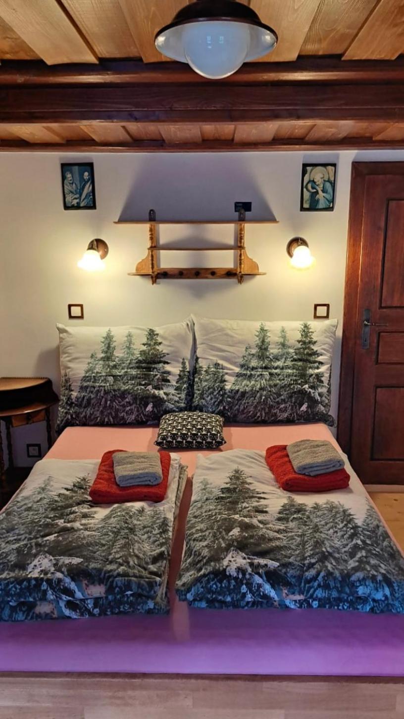 Penzion Pod Zeleznym Vrchem Chřibská Bagian luar foto
